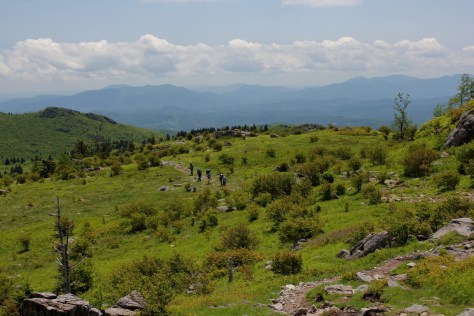 Ascending the Appalachian Trail on Wilburn Ridge
