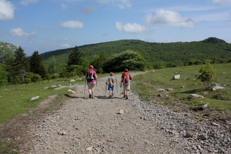 Final Descent Back to Massie Gap Parking Lot