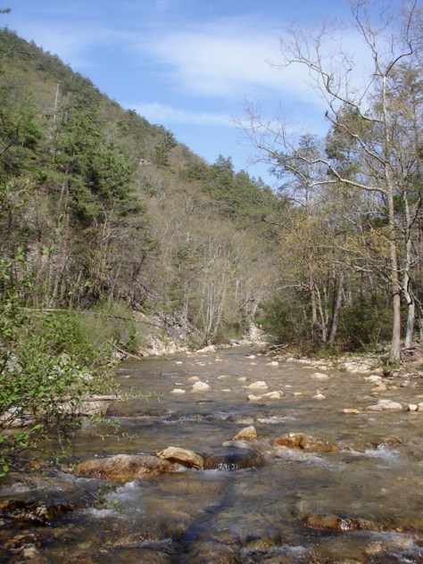 St Mary River Upstream