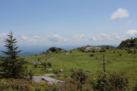 Wilburn Ridge Trail Between Two Outcroppings