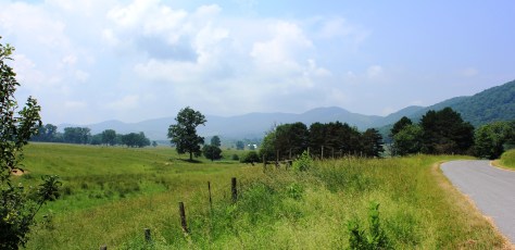 The Varmint Race Course