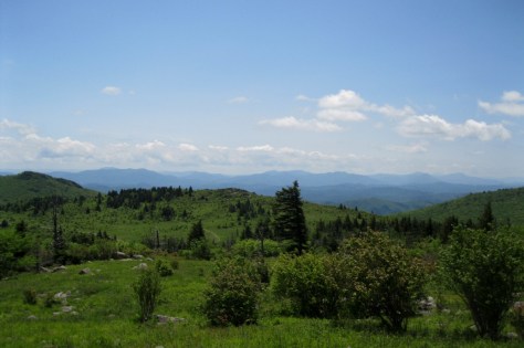 Wilburn Ridge Showing Horse Trail and Appalachian Trail