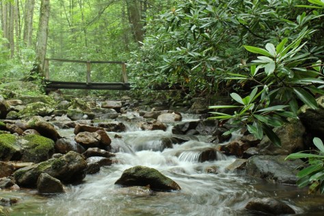 Straight Branch July 9, 2011