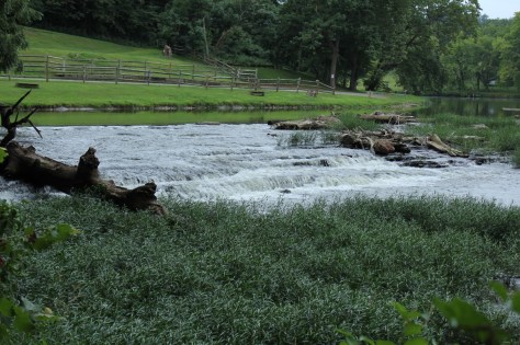 Foster Falls Campground side