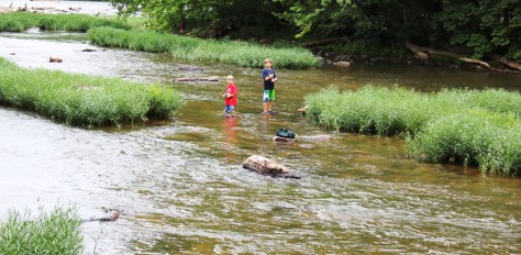 New River State Park Fishing