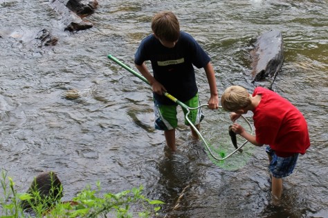 New River State Park VA