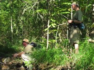 Stealthy Approach to Trout-Laden Pool