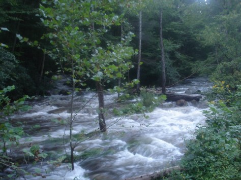Brumley Creek Flooding