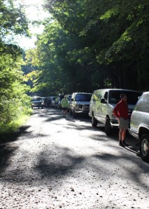 Top of the Mountain Goat Leg
