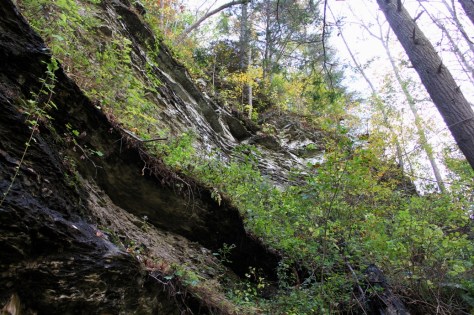 Abrams Falls Cliff