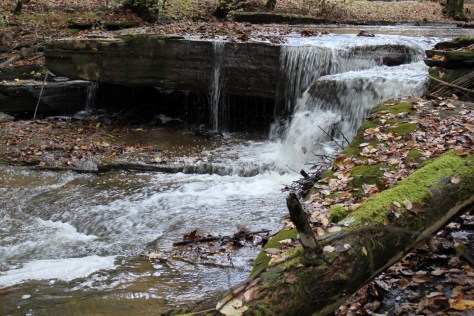 Abrams Falls First Cataract