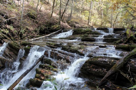 Abrams Falls Upper Falls Second Cascade