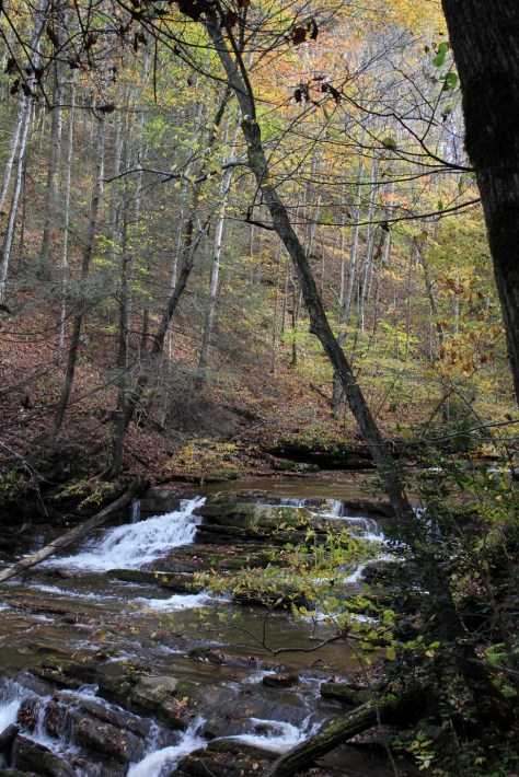 Abrams Falls Upper Falls