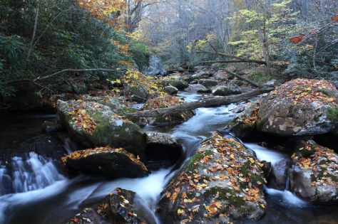 Fox Creek Gorge View