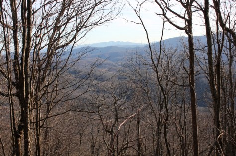Grandfather Mountain View from Route 601 AT section