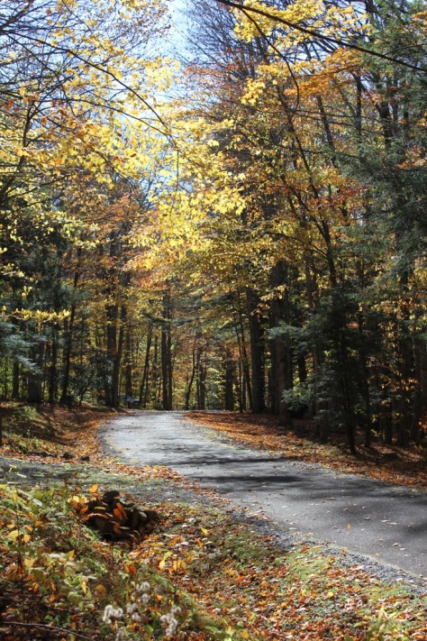 Grindstone Campground