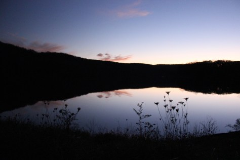 Late Evening Reflections