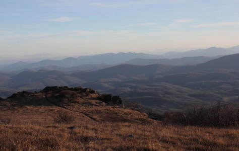Looking into North Carolina