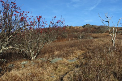 Outcroppings near Buzzard Rocks