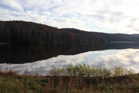 Shoreline Reflections
