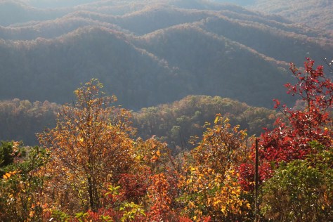 Late Fall Colors from the Knob