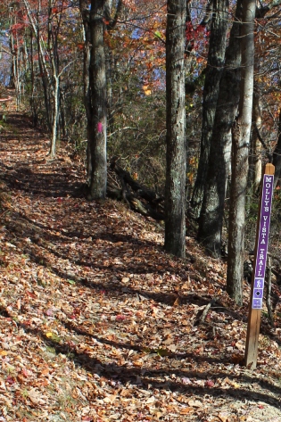 Molly Vista Trail Marker