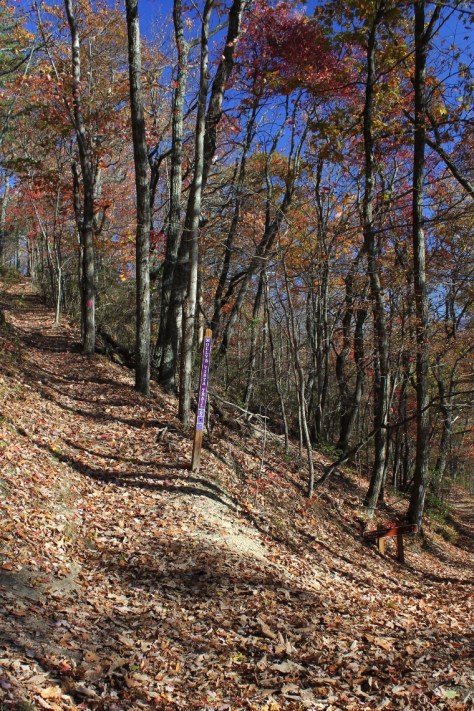 Molly Vista Trail Spur