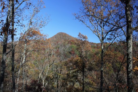 Molly's Knob