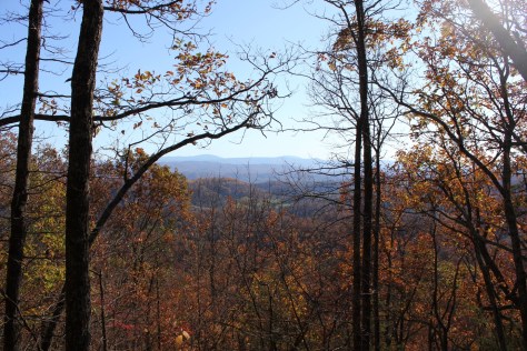 View of Mt. Rogers and Whitetop from Molly Knob Trail