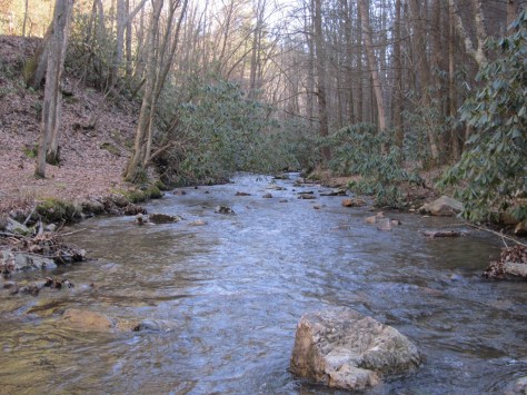 A Wild Creek in Smyth County