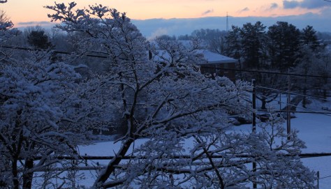 Morning February 20 2012