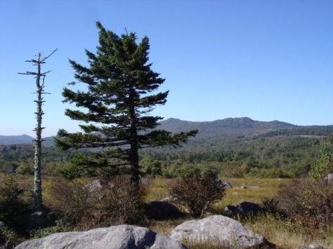 Mount Rogers National Recreation Area