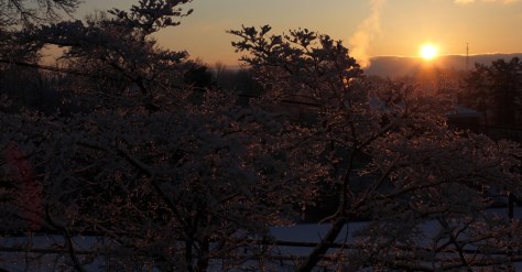 Sunrise on February 20 2012