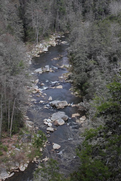 Beginning of the Gorge