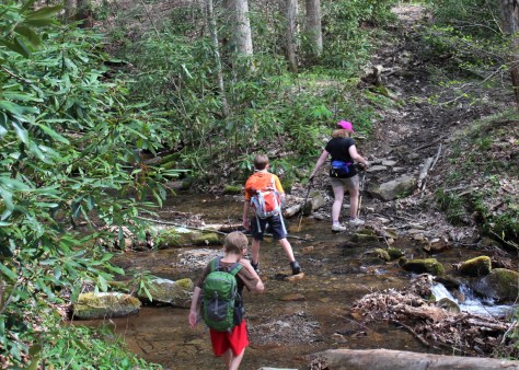 Rowland Creek Crossing 1