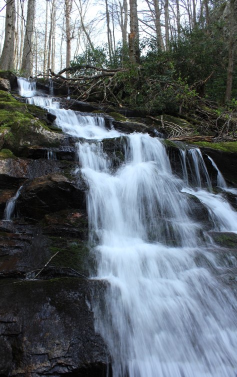 Rowland Creek Falls Vertical View