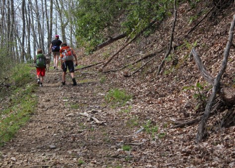Rowland Creek Trail Steep Switchbacks