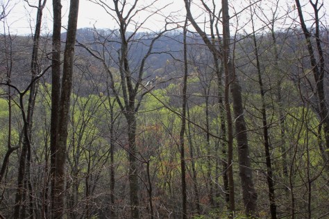 Seng National Scenic Area