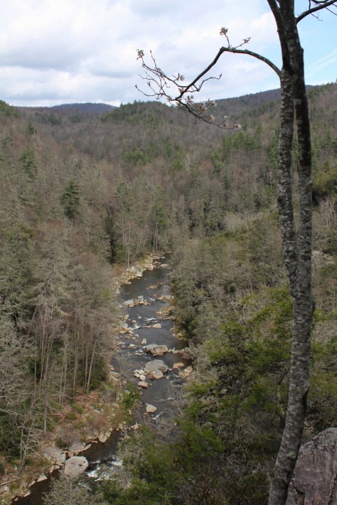 Peering into Linville Gorge