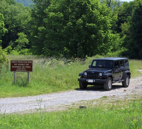 Entrance to Jeep Road to The Scales