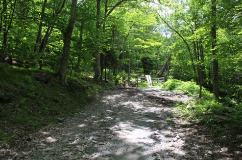 Route 613 Jeep Road Cattle Guard