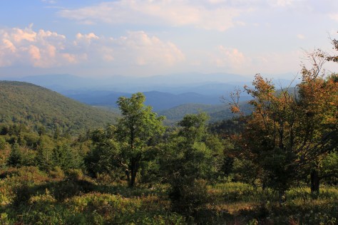 Appalachian Trail on Mount Rogers