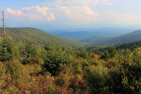 View from AT approaching Thomas Knob 2