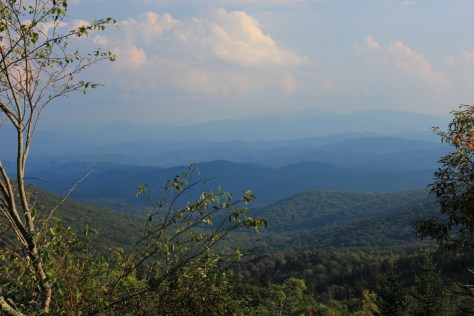 View from A.T. approaching the summit of Mount Rogers