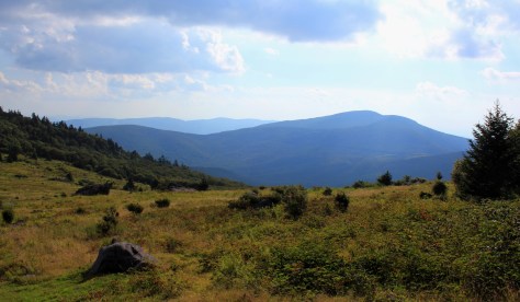 Whitetop and Elk Garden