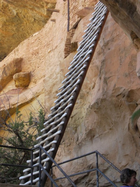 Balcony House Ladder