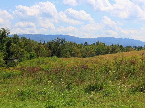 holston-mountain-august-20121