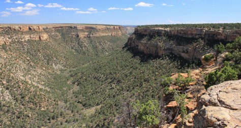 Mesa Verde Green Table