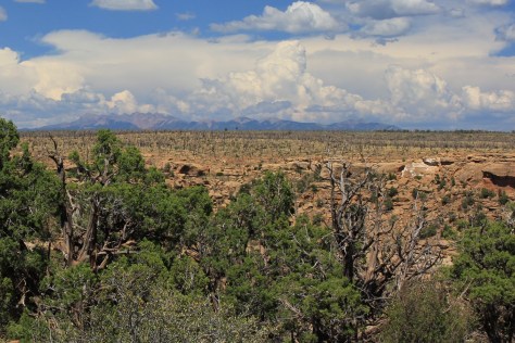 San Juans Rise Behind the Mesa