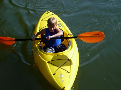 Zydeco 9.0 in Action